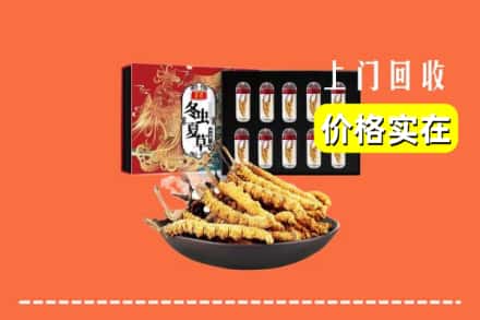 廊坊市三河回收冬虫夏草