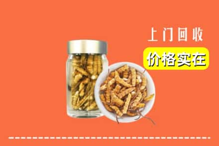 收购资讯:廊坊市三河回收散虫草